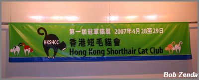 Show banner